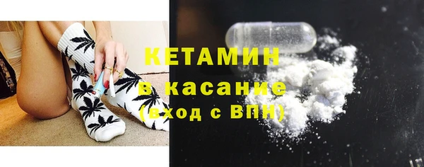 шишки Осинники