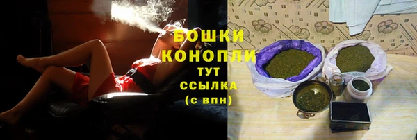 шишки Осинники