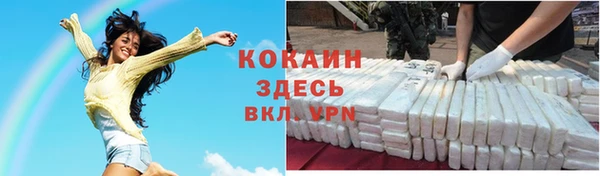 шишки Осинники