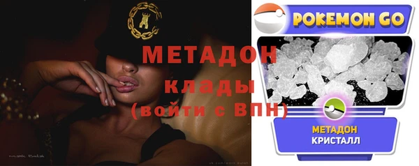шишки Осинники