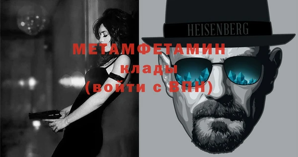 шишки Осинники
