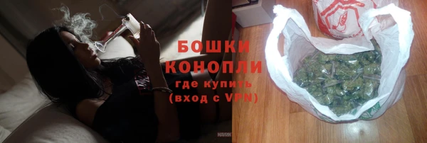 шишки Осинники