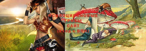 гидра Няндома
