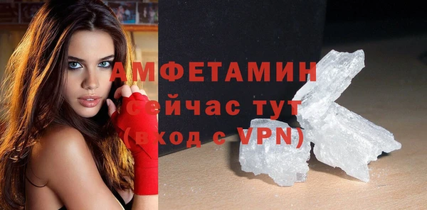 шишки Осинники