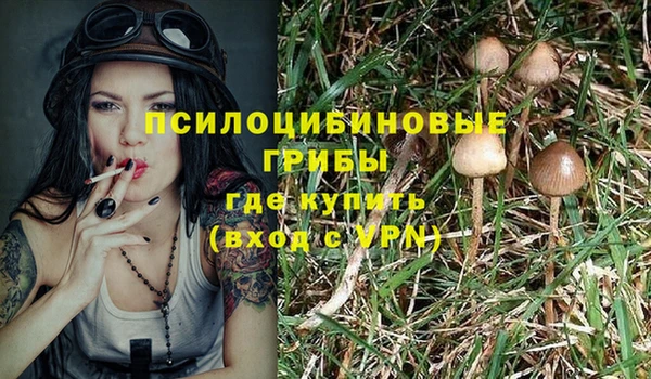 mix Осташков