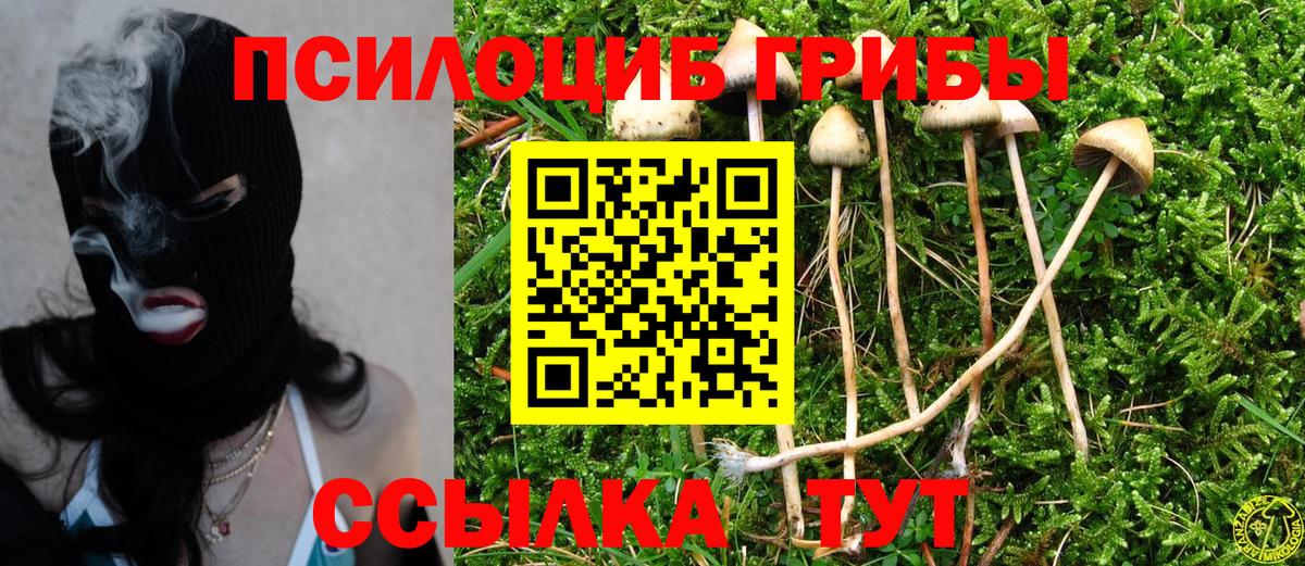 Псилоцибиновые грибы мицелий  Вход с VPN  Орск 