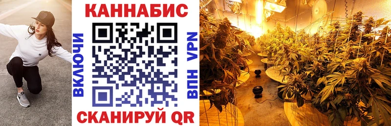 сайты даркнета телеграм  Орск  Марихуана индика 
